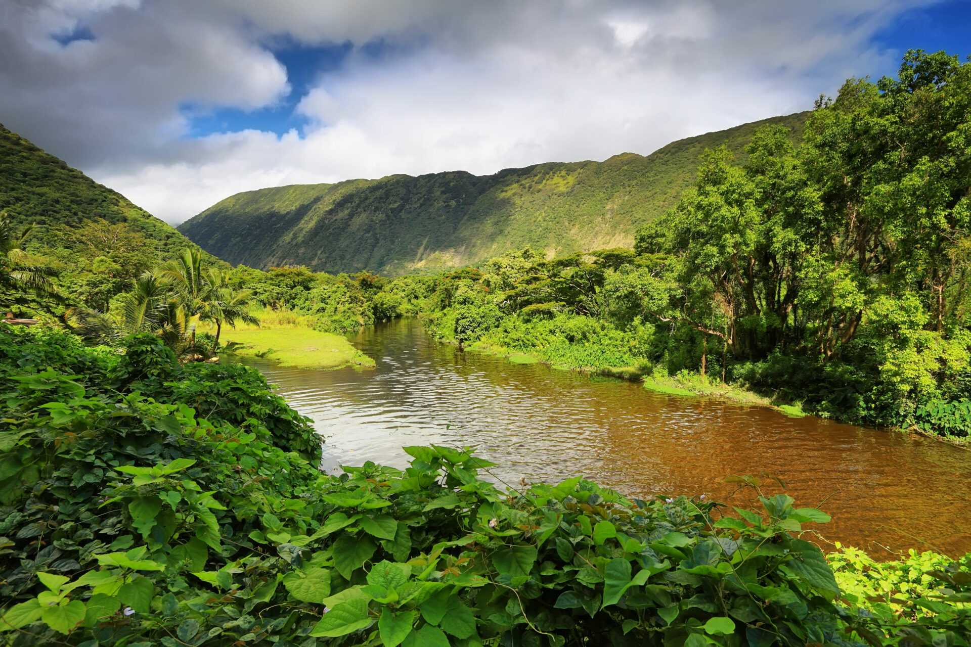 26225223 - view of the river in waipio valley, big island, hawaii